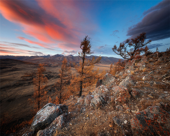 Bei Sonnenuntergang / ***