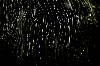 abstract metall / abstract art object