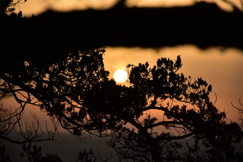 sunset / sunset on the black sea