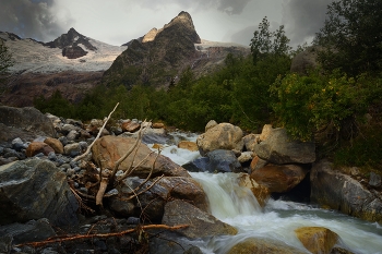 Mountain Stream / ***