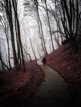 Wandern im Herbst / ***