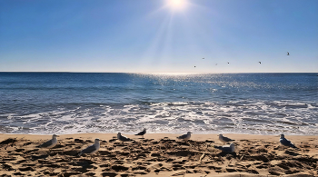 Cambrils - Platja Vilafortuny - Baix Camp / Cambrils - Platja Vilafortuny - Baix Camp