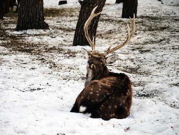 In gewisser Weise ... / ***