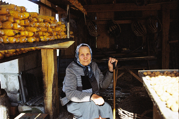 0003 / Pentax SPF + 35/3,5
Kodak Gold 100