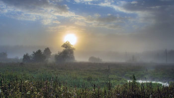 Violence of Summer / ***