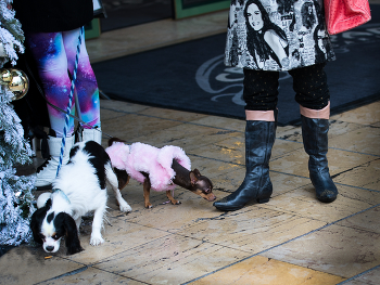 Jedem das Seine / ***