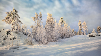 Winter in den Bergen / ***