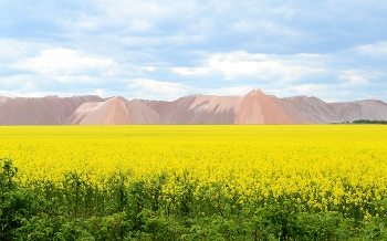 Frühlingslandschaft / ***
