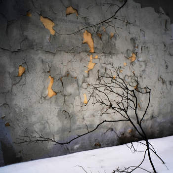 Frühling Licht / ***