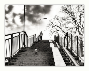 Wind des Wandels / ***