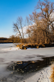 Erste Patches aufgetaut / ***