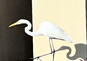 In step with its shadow / Interplay between the bird and its shadow