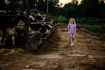 Auf dem Bauernhof / ***
