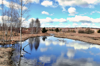 Frühling Reflexion / ***