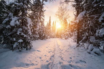 Pathway Gesundheit / ***