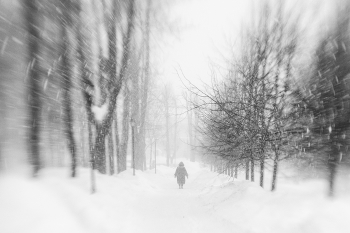 Wenn die Bäume groß / ***