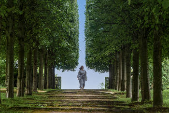 Der Frühling kommt / ***