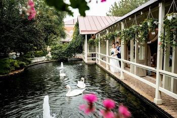 Hochzeit gehen / ***