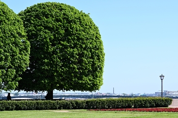 Arrow of Vasilevsky Insel / ***