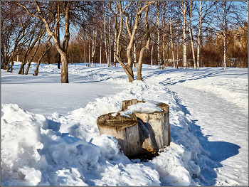und sogar ein Baumstumpf an einem Frühlingstag ... / ***