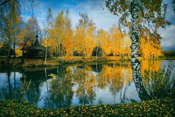 Reflexion der Herbst / ***