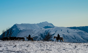 Am Ende des Winters / ***