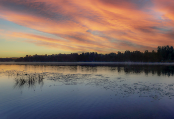 Nebel zerstreut / ***