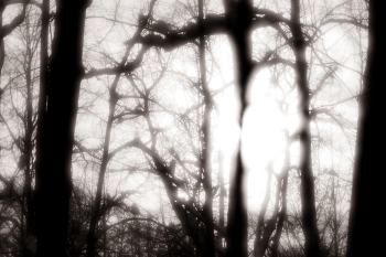 Abenddämmerung / ***