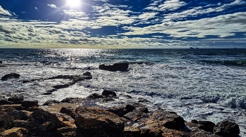 Tarragona La Móra - bosc de la Marquesa (roques i mar) - Tarragonès / Tarragona La Móra - bosc de la Marquesa (roques i mar) - Tarragonès