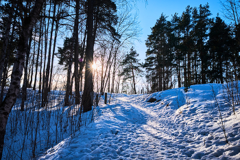 Entlang des Weges / ***