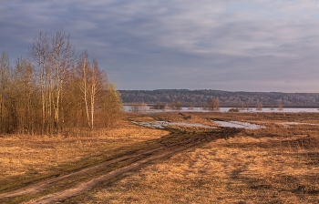 Frühlingsthema / ***