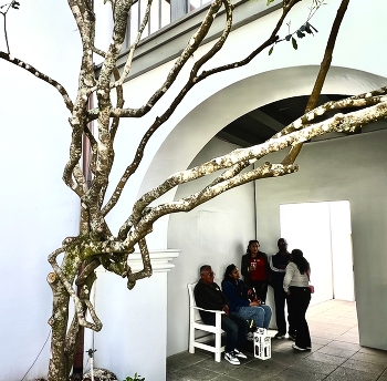 Family / Tightly knit family