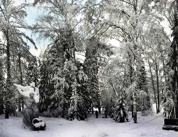 In der Park im Winter / ***