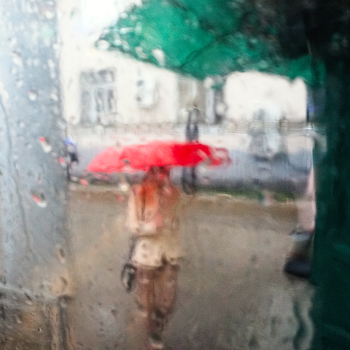 bis die Kühe nach Hause kommen / ***