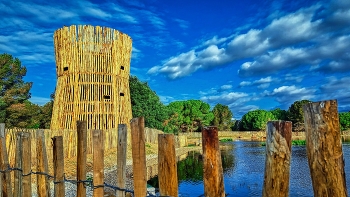 Reus - Les basses del Pedret - Baix Camp / Reus - Les basses del Pedret - Baix Camp