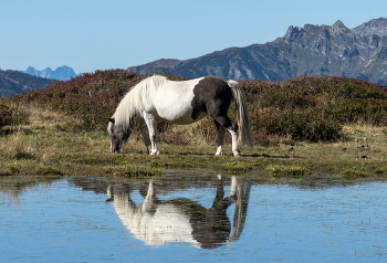 Unter den Bergen / ***