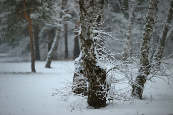 Nebel zerstreut / ***