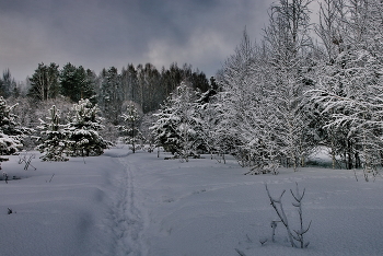 ***Holodnoe utro s lyogkim tumanom. / ***