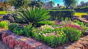 Reus - Masia - Baix Camp / Reus - Masia - Baix Camp