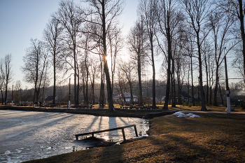 Frühling im Park / ***