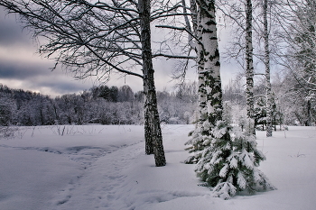 Bewölkter Morgen. / ***