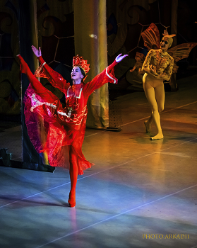 Die feuerrote Blume / ***