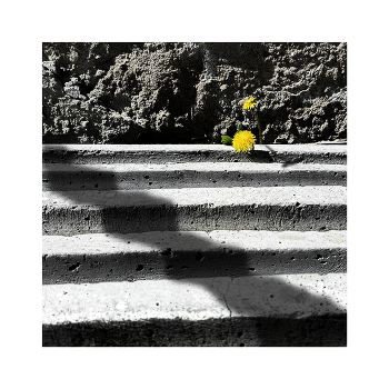 The first special ones / ***