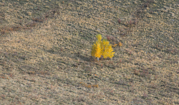 Herbst Einsamkeit / ***