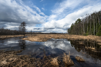 Überschwemmungen im Frühjahr / ***