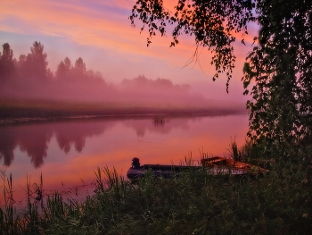 Rosa Nebel / ***