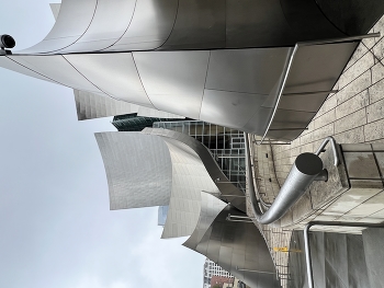 Sculptural archtecture / Walt Disney Concert Hall by Frank Gehry in Los Angeles