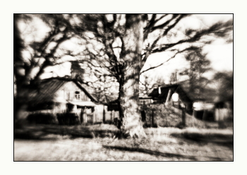 Der Geruch von Frühling / ***