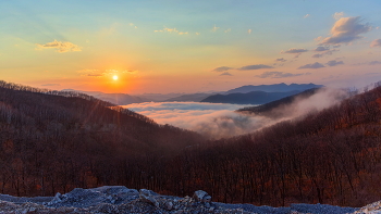 Nebel bei Sonnenuntergang / ***