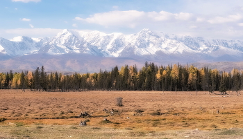 Herbst Morgendämmerung / ***